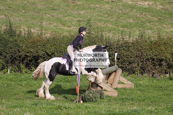 Bilsdale Hurworth Hedge Hop 119