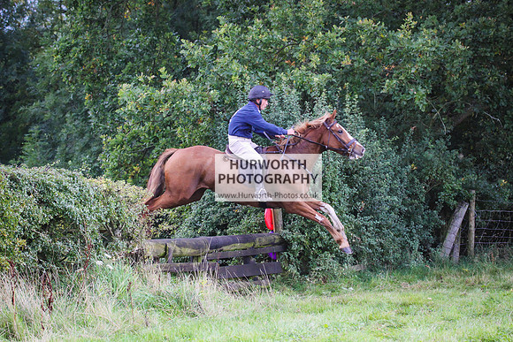 Bilsdale Hurworth Hedge Hop 187
