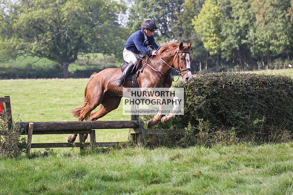 Bilsdale Hurworth Hedge Hop 203