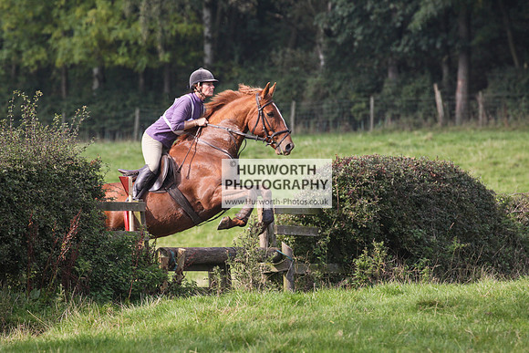 Bilsdale Hurworth Hedge Hop 257