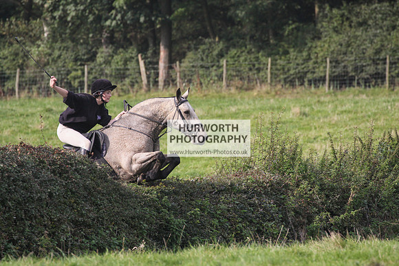 Bilsdale Hurworth Hedge Hop 306