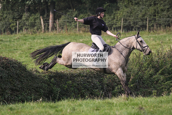 Bilsdale Hurworth Hedge Hop 308