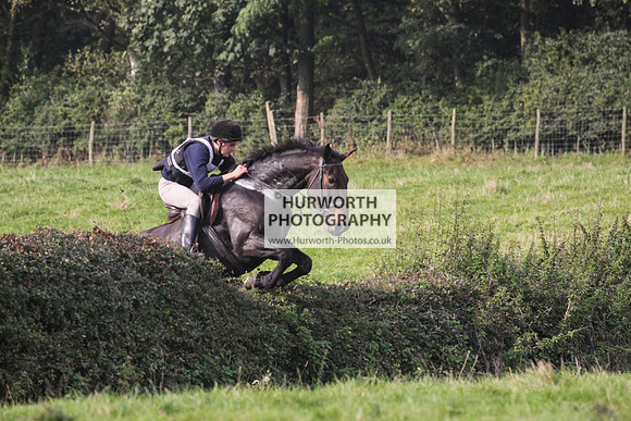 Bilsdale Hurworth Hedge Hop 309