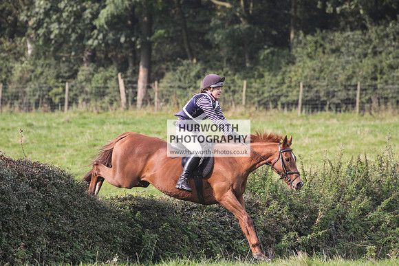 Bilsdale Hurworth Hedge Hop 312