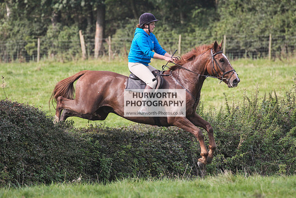 Bilsdale Hurworth Hedge Hop 313