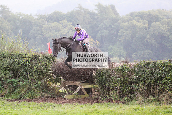 Bilsdale Hurworth Hedge Hop 327