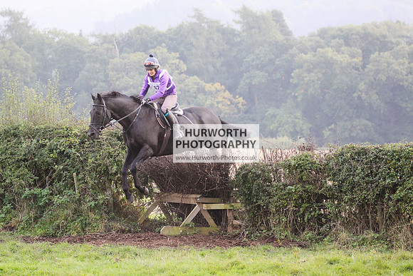 Bilsdale Hurworth Hedge Hop 328