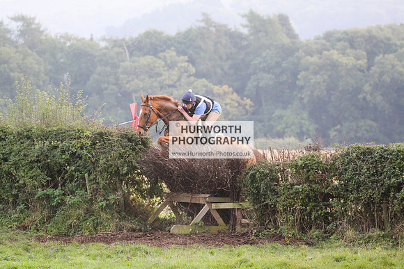 Bilsdale Hurworth Hedge Hop 329