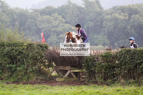Bilsdale Hurworth Hedge Hop 334