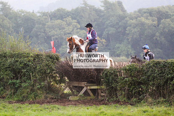 Bilsdale Hurworth Hedge Hop 335