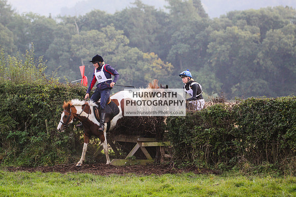 Bilsdale Hurworth Hedge Hop 337
