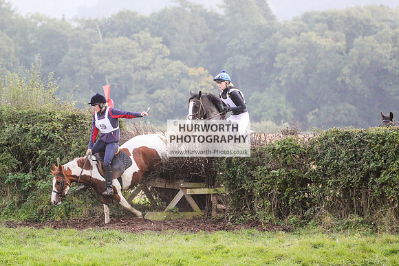 Bilsdale Hurworth Hedge Hop 338