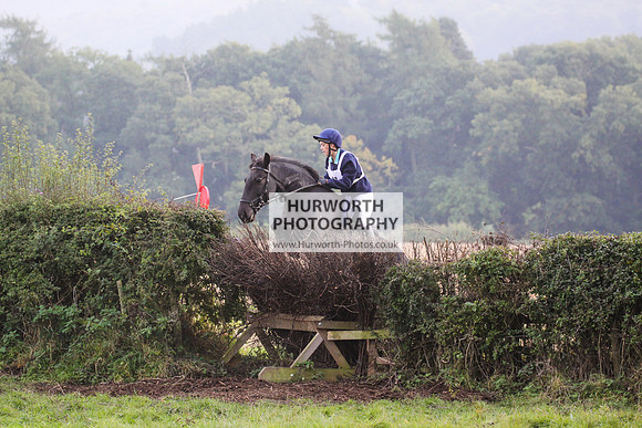 Bilsdale Hurworth Hedge Hop 352