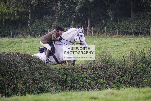 Bilsdale Hurworth Hedge Hop 363