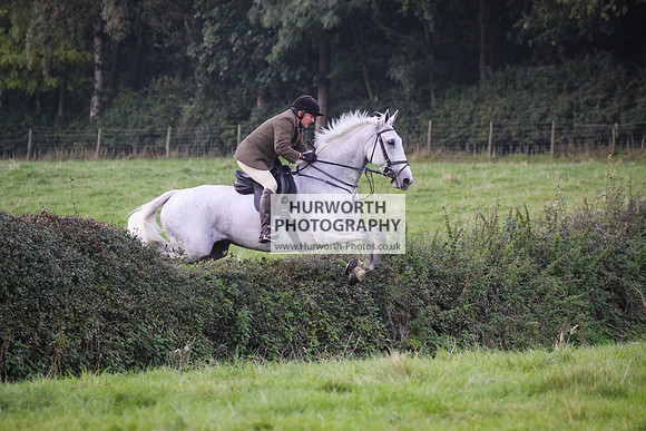 Bilsdale Hurworth Hedge Hop 364