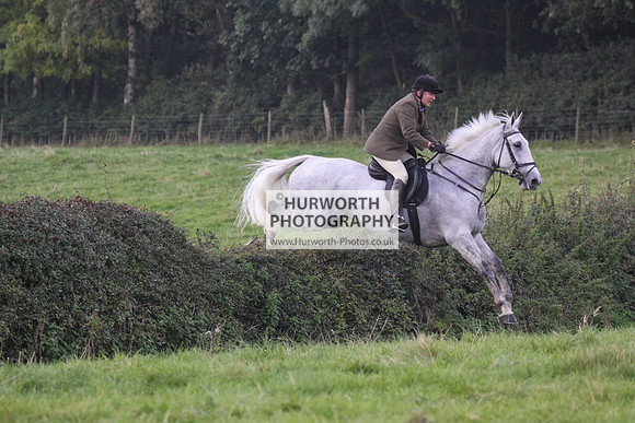 Bilsdale Hurworth Hedge Hop 365
