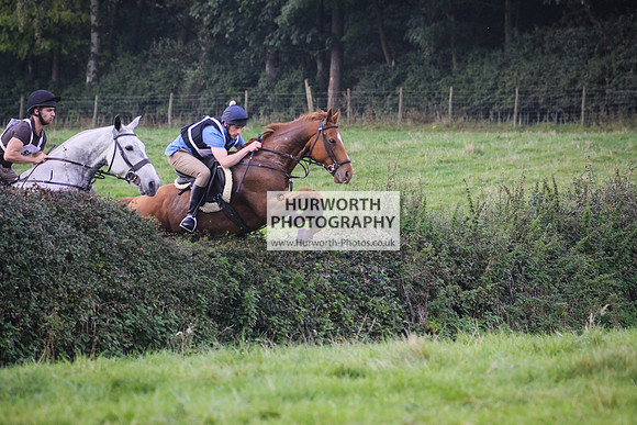 Bilsdale Hurworth Hedge Hop 366
