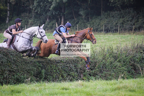 Bilsdale Hurworth Hedge Hop 367
