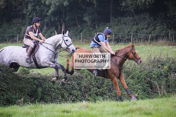 Bilsdale Hurworth Hedge Hop 368