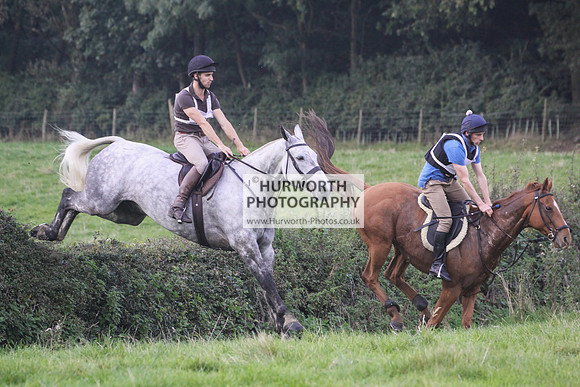 Bilsdale Hurworth Hedge Hop 369