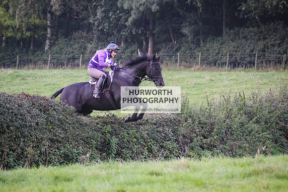 Bilsdale Hurworth Hedge Hop 371