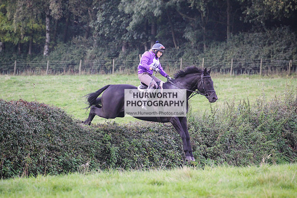 Bilsdale Hurworth Hedge Hop 372