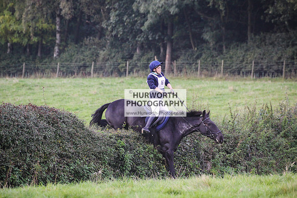 Bilsdale Hurworth Hedge Hop 379