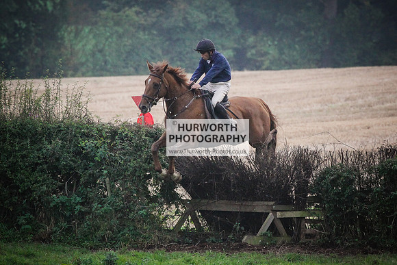 Bilsdale Hurworth Hedge Hop 384