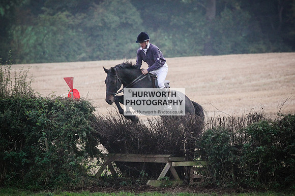 Bilsdale Hurworth Hedge Hop 387
