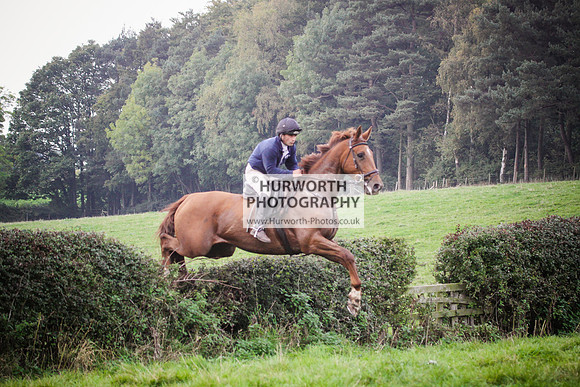 Bilsdale Hurworth Hedge Hop 423