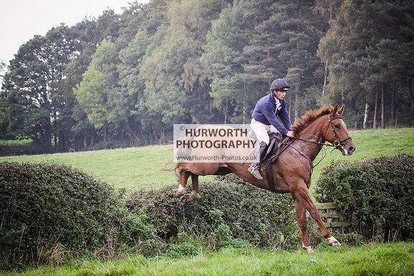 Bilsdale Hurworth Hedge Hop 424