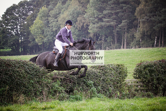 Bilsdale Hurworth Hedge Hop 425