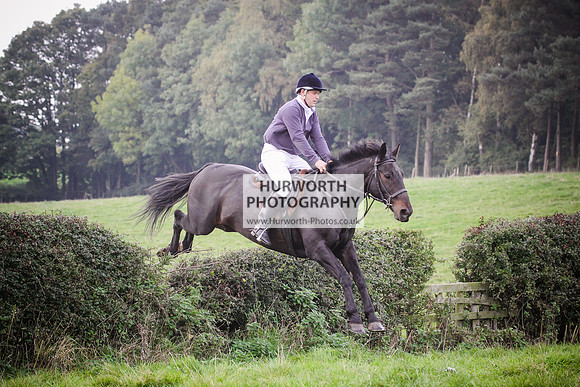 Bilsdale Hurworth Hedge Hop 426