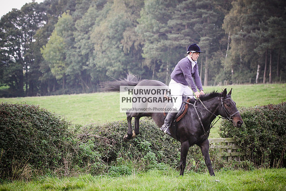 Bilsdale Hurworth Hedge Hop 427