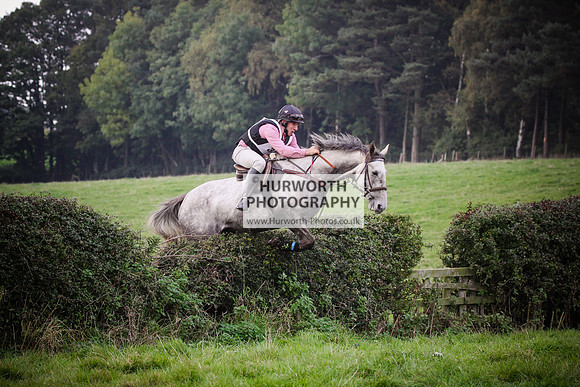 Bilsdale Hurworth Hedge Hop 428