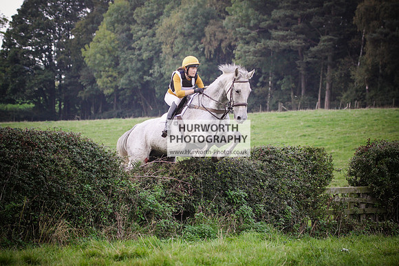 Bilsdale Hurworth Hedge Hop 445