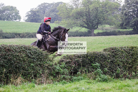 Bilsdale Hurworth Hedge Hop 476