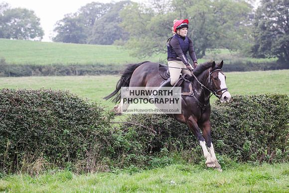 Bilsdale Hurworth Hedge Hop 478