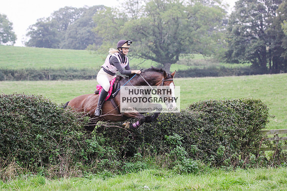 Bilsdale Hurworth Hedge Hop 482