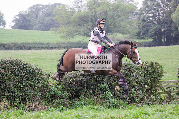 Bilsdale Hurworth Hedge Hop 483
