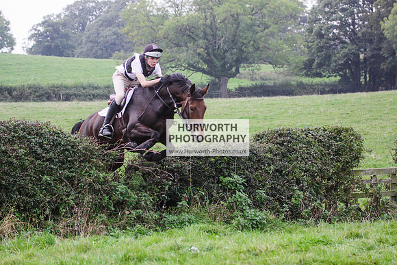 Bilsdale Hurworth Hedge Hop 485
