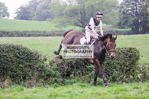 Bilsdale Hurworth Hedge Hop 487