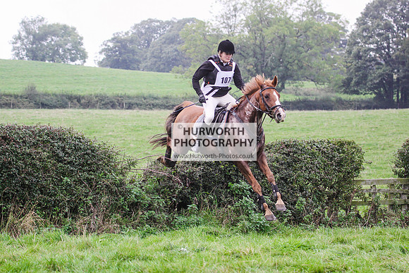 Bilsdale Hurworth Hedge Hop 489