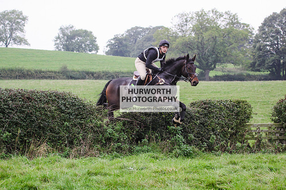 Bilsdale Hurworth Hedge Hop 491