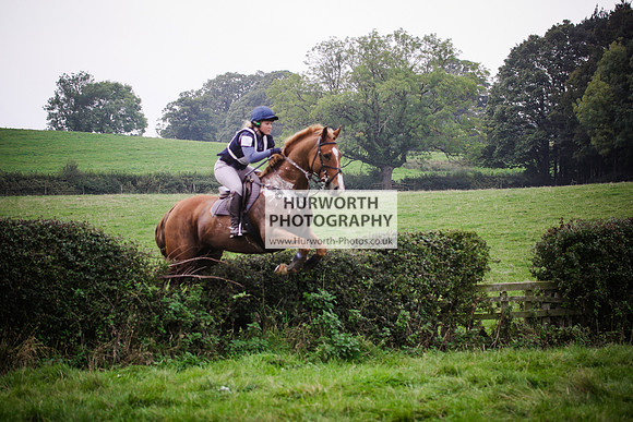 Bilsdale Hurworth Hedge Hop 493