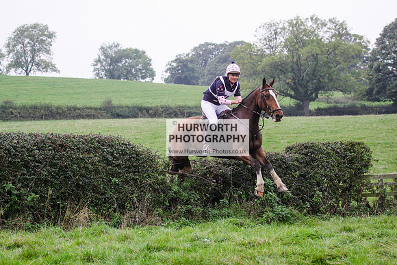 Bilsdale Hurworth Hedge Hop 496