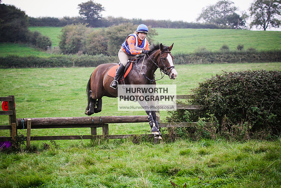 Bilsdale Hurworth Hedge Hop 498