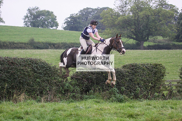 Bilsdale Hurworth Hedge Hop 536