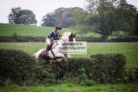 Bilsdale Hurworth Hedge Hop 537