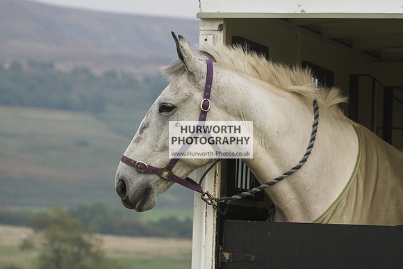 Bilsdale Hurworth Hedge Hop 679